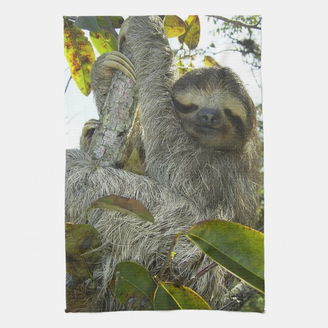 Sloth Up A Tree Kitchen Towel (Vertical)