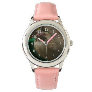 Sloth Watch
