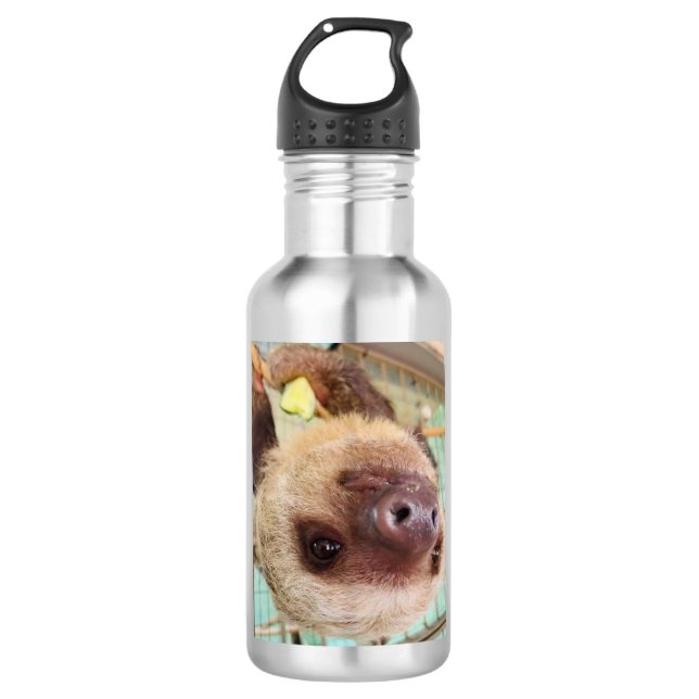 Sloth Water Bottle (Front)