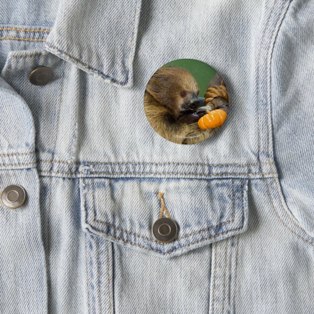Sloth with Pumpkin 2 Inch Round Button (In Situ)
