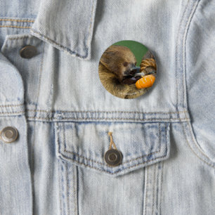 Sloth with Pumpkin 2 Inch Round Button