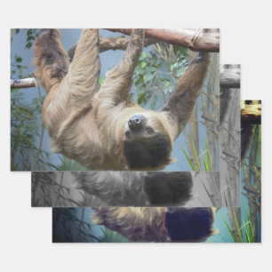 Sloth Wrapping Paper Sheet