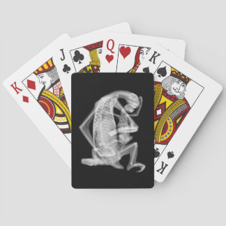 Sloth Xray Love Playing Cards