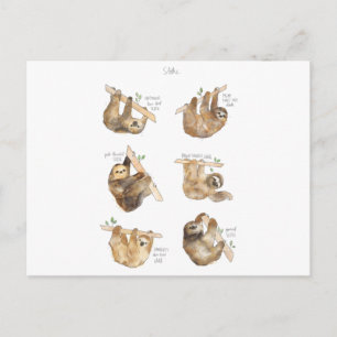 Sloths Classic Holiday Postcard