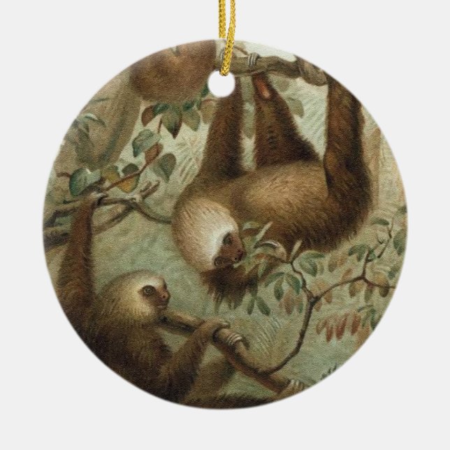 Sloths In Trees Ceramic Ornament (Front)
