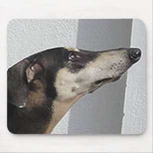 sloughi.png mouse pad