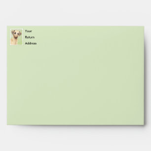 Sloughis Painting - Cute Original Dog Art Envelope