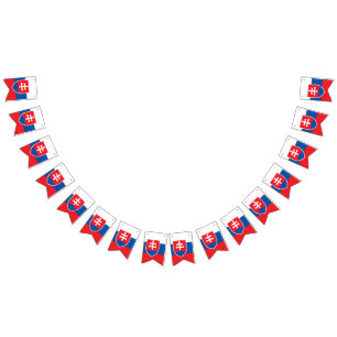 Slovakia Flag