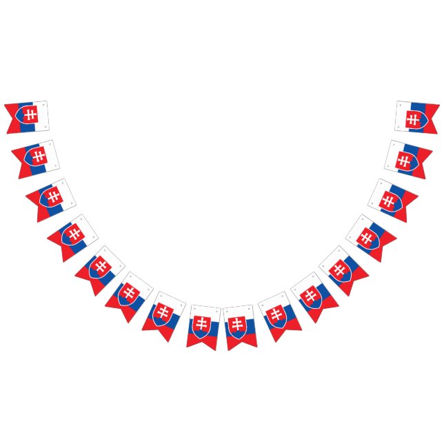 Slovakia Flag (All)