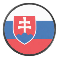 Slovakia Flag