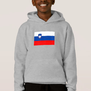 Slovenia Flag