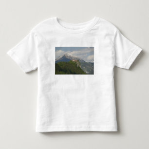 SLOVENIA, GORENJSKA, Bled: Bled Castle & 2 Toddler T-shirt