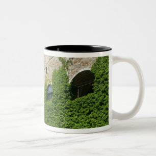 SLOVENIA, Ljubljana: Castle Hill / Ljubljana Two-Tone Coffee Mug