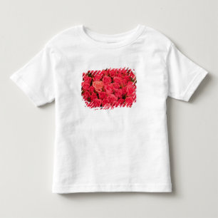 SLOVENIA, Ljubljana: Ljubljana Public Market / Toddler T-shirt