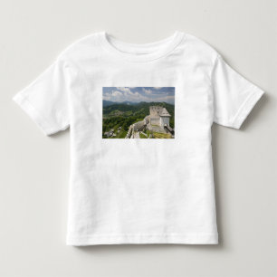 SLOVENIA, STAJERSKA Styria), Celje: Town View Toddler T-shirt