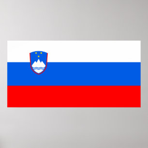 Slovenian Flag Poster
