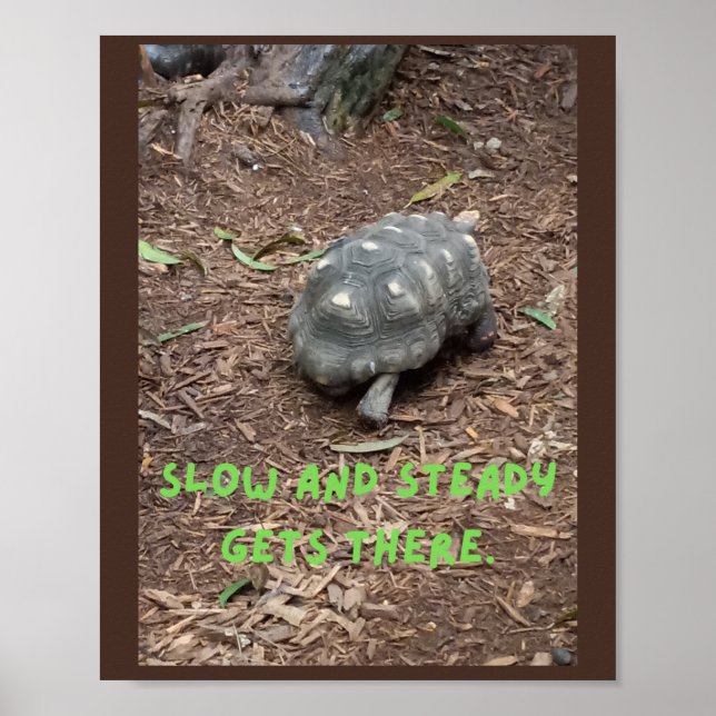 slow and steady gets there!  poster (Front)
