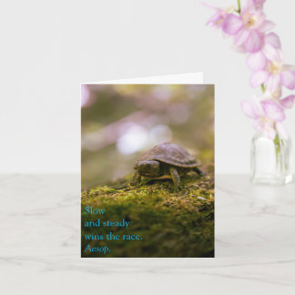 Slow and Steady Wins the Race - Aesop Card