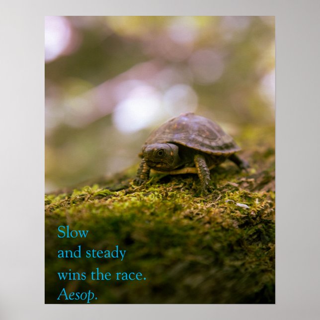 "Slow and steady wins the race." Aesop Poster (Front)