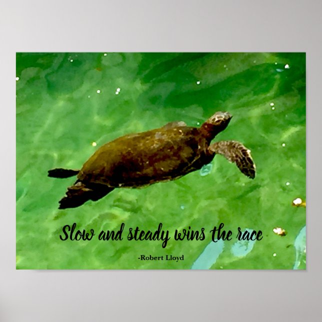 Slow and steady wins the race poster (Front)