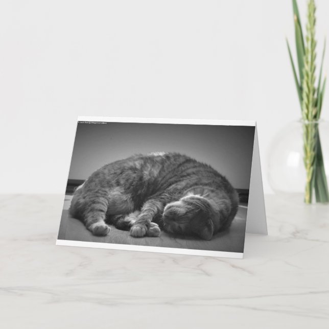 Slow Days, card (Front)