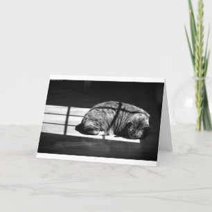Slow Days, card