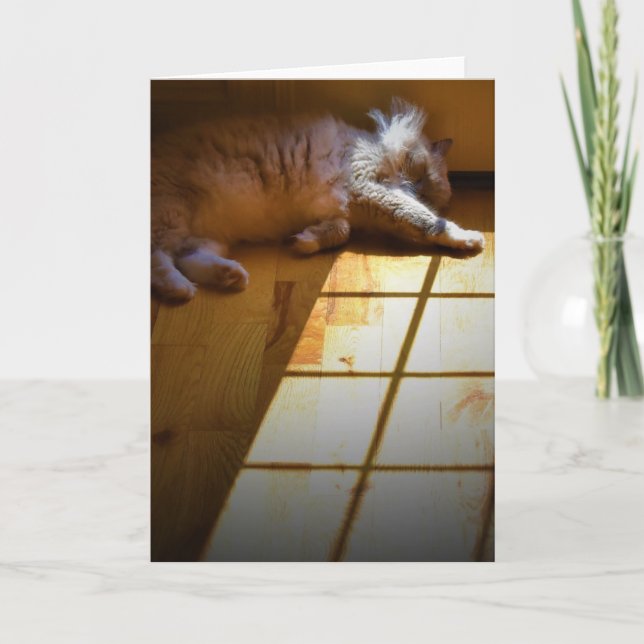 Slow Days, card (Front)