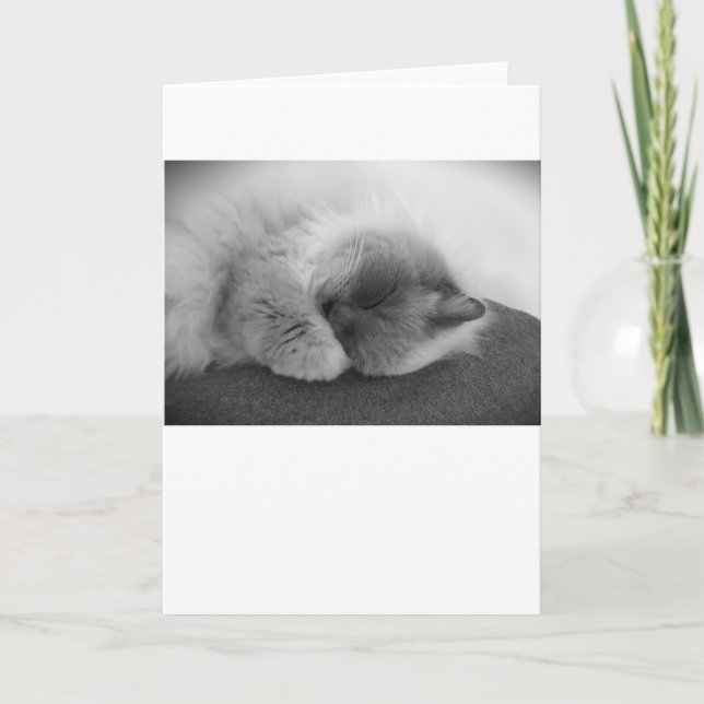 Slow Days, card (Front)