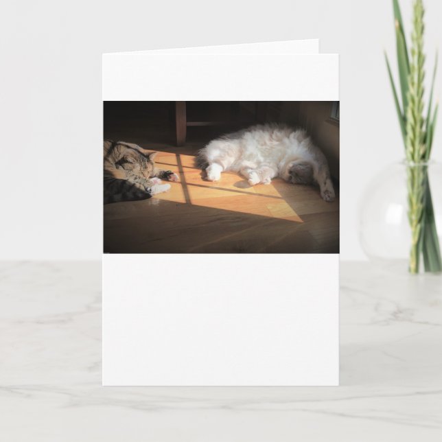 Slow Days, card (Front)