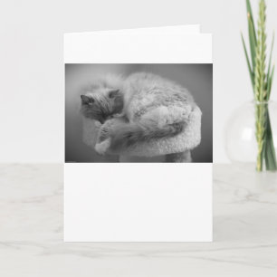 Slow Days, card