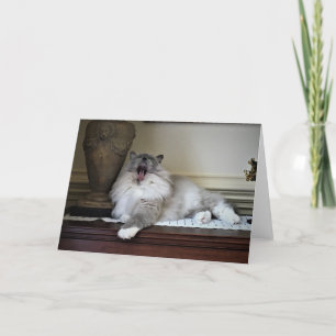 Slow Days, card