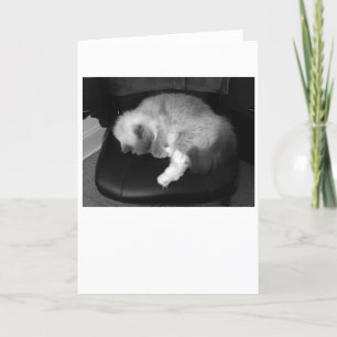 Slow Days, card