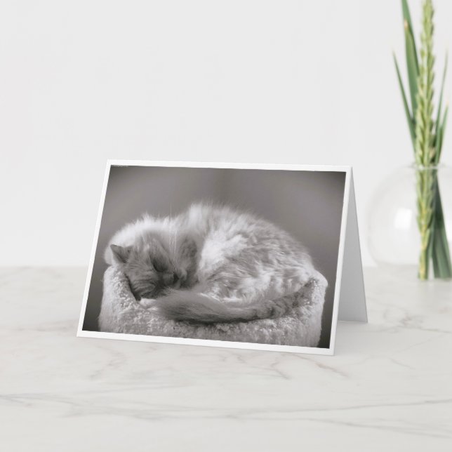 Slow Days, card (Front)