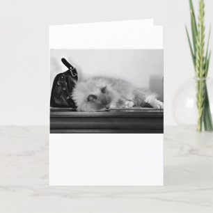Slow Days, card