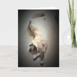 Slow Days, card