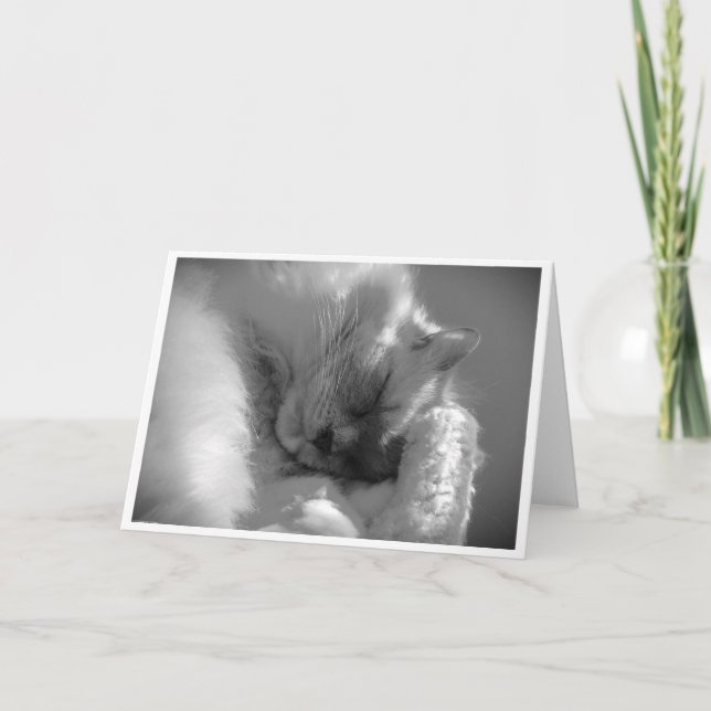 Slow Days, card (Front)