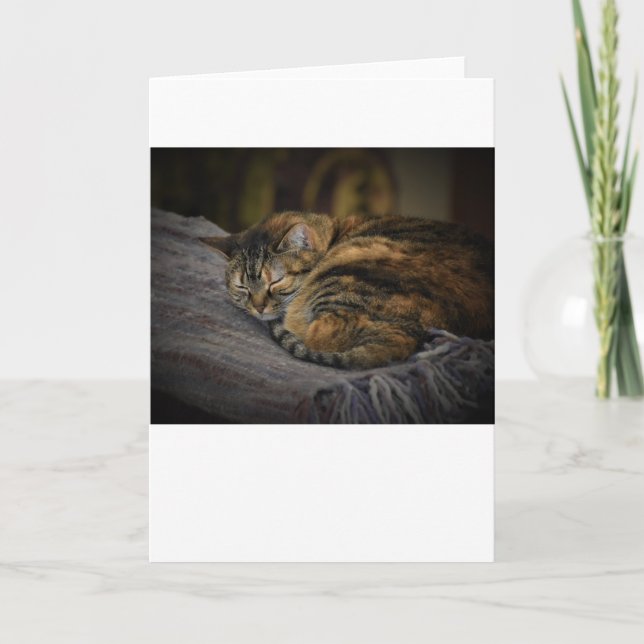 Slow Days, card (Front)