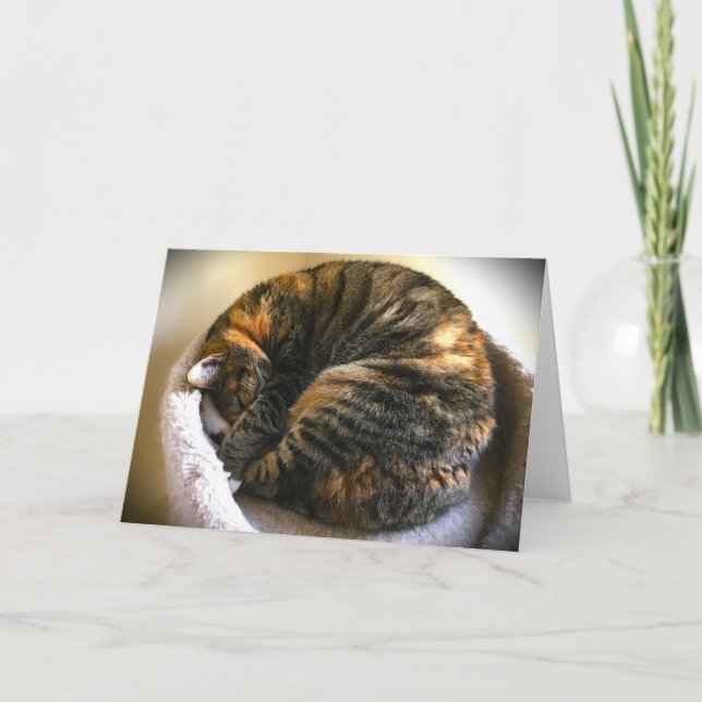 Slow Days, card (Front)