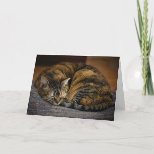 Slow Days, card