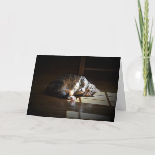 Slow Days, card