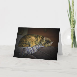 Slow Days, card