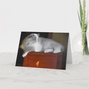 Slow Days, card