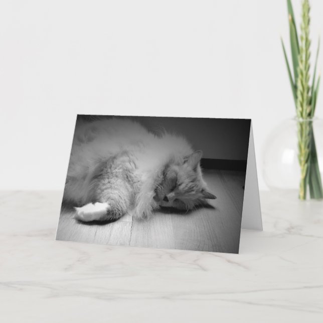 Slow Days, card (Front)