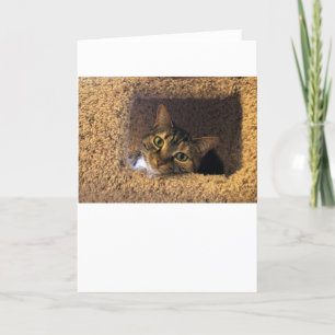 Slow Days, card
