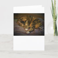 Slow Days, card