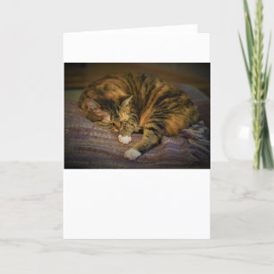 Slow Days, card