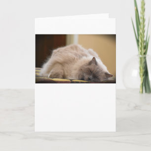 Slow Days, card