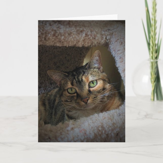 Slow Days, card (Front)