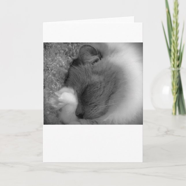 Slow Days, card (Front)