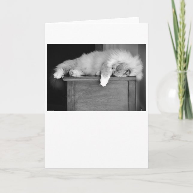 Slow Days, card (Front)